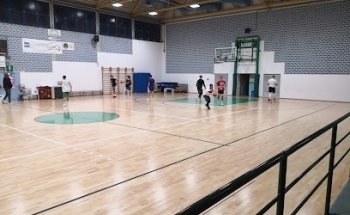 Tigers Arena