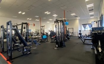 Beltrafit