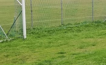 Campo Sportivo MAZZUCCHI