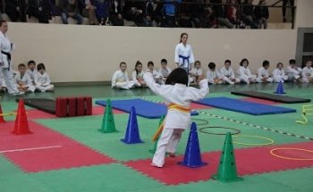 Palestra Comunale