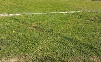 Stadio Comunale di Stalettì