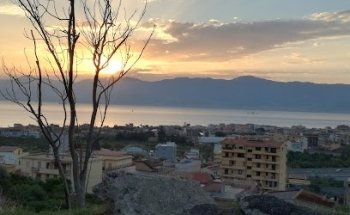 Campi Aster