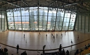 Palasport