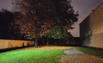 Palestra Comunale