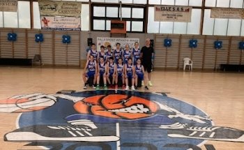 Basket Poppi