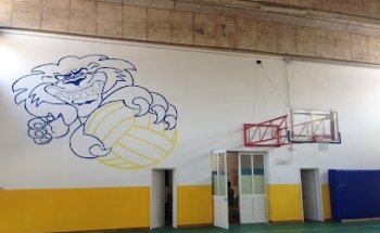 Palestra scuole Medie