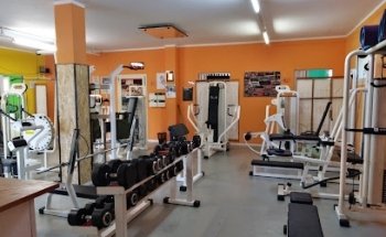 ASD Palestra bodyart