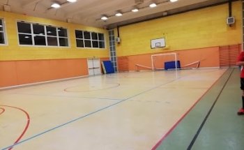 Palestra di Torrile