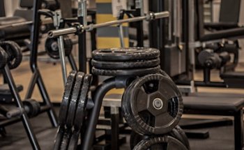 Pitbull Gym