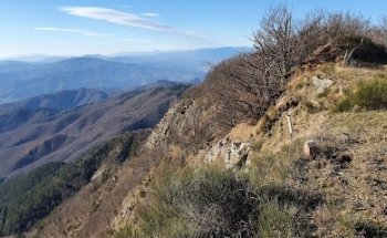 Monte Massicaia