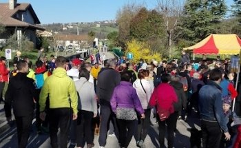 Palesta Intercomunale Mason Vicentino, Molvena