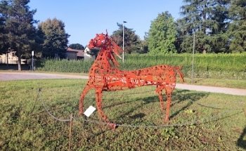 Area Fitness • Parco Europa