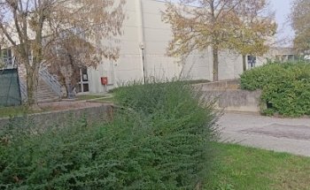 Palazzetto dello Sport