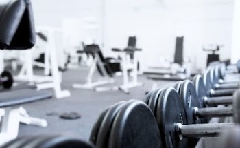 Muscle Club