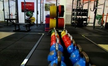 HNF Lab - Art of Motion