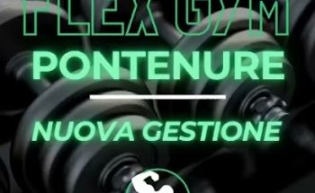 Flex GYM