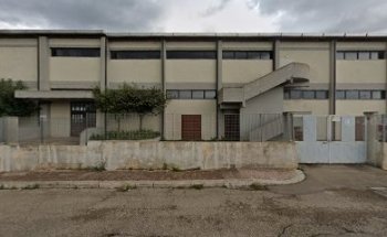 Palazzetto Dello Sport