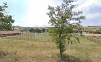 Campo Comunale