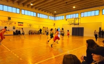 Palestra Falcone