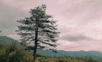 Valico delle croci
