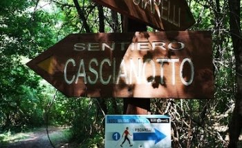 SENTIERO NATURA PATRICA