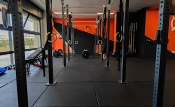 Tacfit Roma
