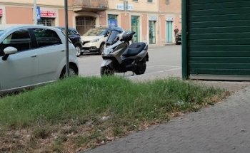 ASD Saisei Dojo Ju Jitsu Alessandria