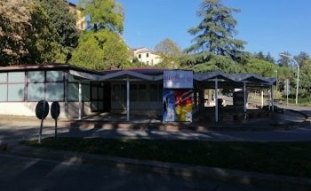 Vivilpaese