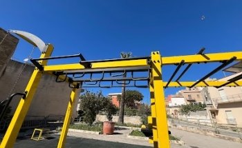 Palestra pubblica calistenica