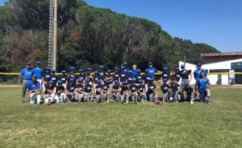 Campo baseball