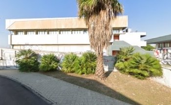 Palestra Coni A