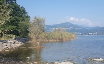 Ranco Fitness Park - postazione 4