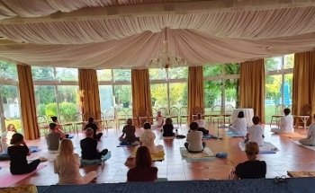 Ailanto Yoga