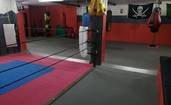 A.S.D. pugilistica Di Luisa