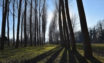 Palestra AVIGLIANA
