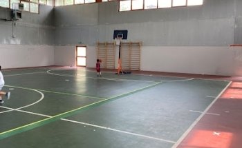 Palestra comunale