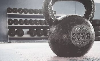 Palestra Majestic