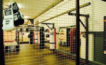 THE KING FIGHT CLUB