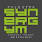 Palestra Synergym | Personal Trainer Padova