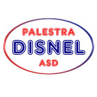 Palestra Disnel
