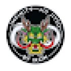 Tribe JiuJitsu Imperia