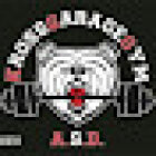 Kross Garage Gym 038