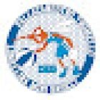 LOMELLINA MINI BASKET