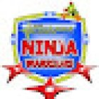 Dynamika Ninja Warriors