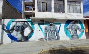 Iron Man Gym