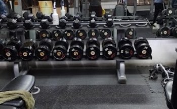 Monkey Fitness