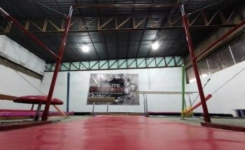 Elite Factory Gimnasia y Danza Parral