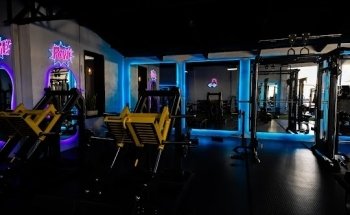 BODYLAB