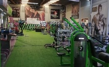 The Gym
