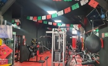 Gym Anubis